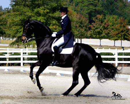GK7F2443eDB