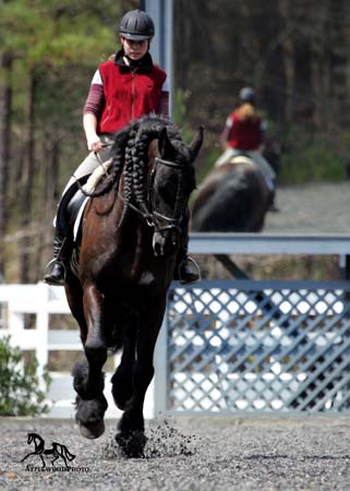 GK7F2737e