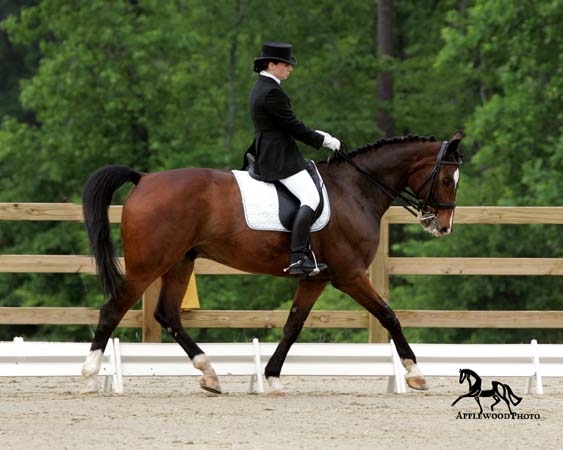 GK7F8458e