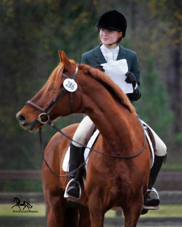 GK7F0889db copy