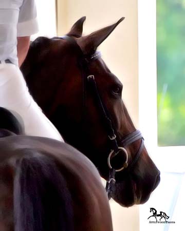 GK7F3542 copy