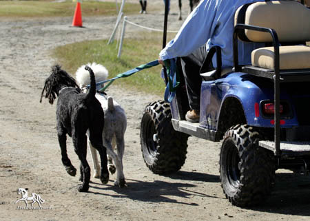 0615