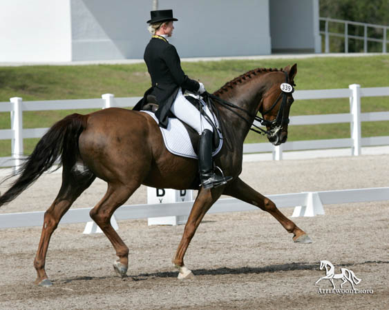 GK7F1143 copy
