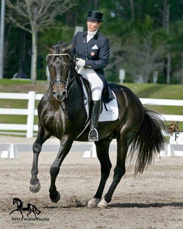 GK7F1262 copy