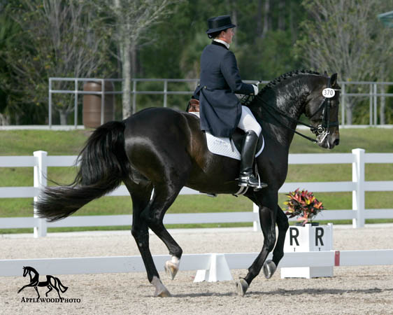 GK7F1265 copy