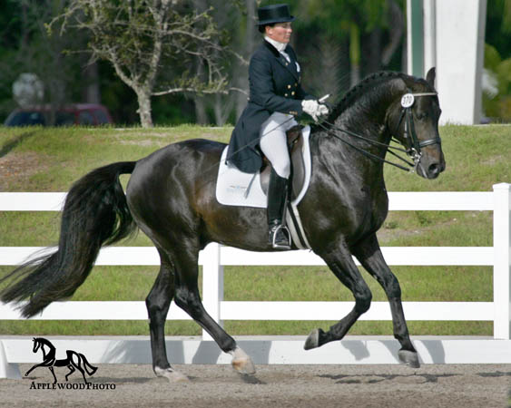 GK7F1282 copy