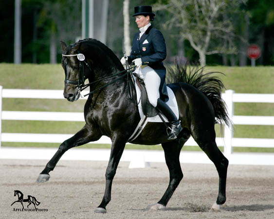 GK7F1285 copy