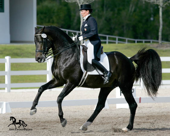 GK7F1287 copy