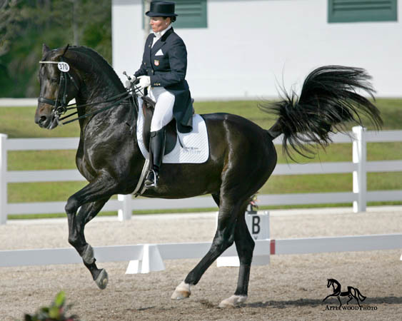 GK7F1288 copy