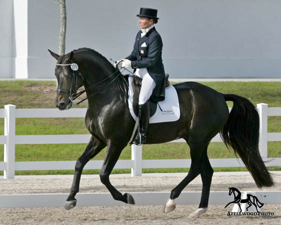 GK7F1290 copy