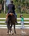 GK7F0457 copy