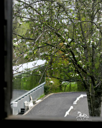 GK7F5419 copy