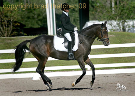 GK7F0766 copy