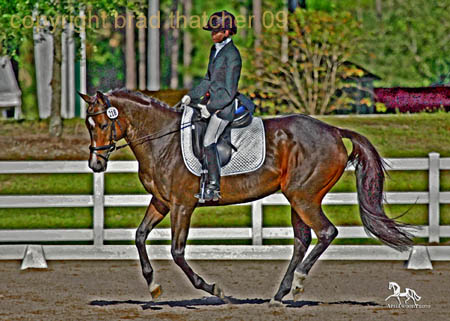 GK7F0779 copy