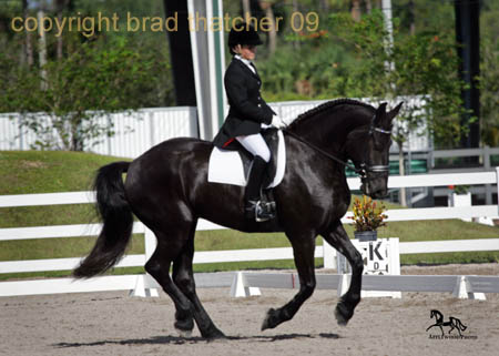 GK7F0689 copy
