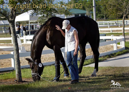 GK7F0809 copy