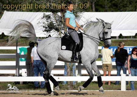 GK7F1215 copy