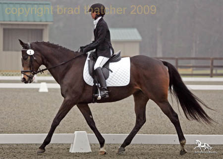 GK7F3993 copy