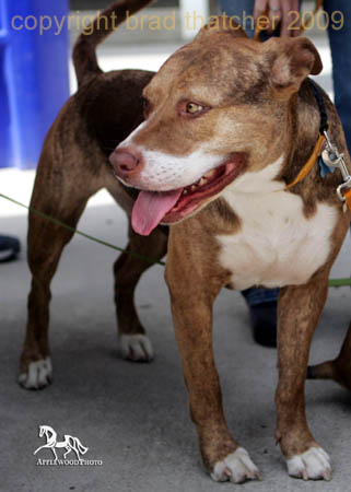 GK7F5999c copy