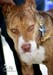 GK7F5994c copy