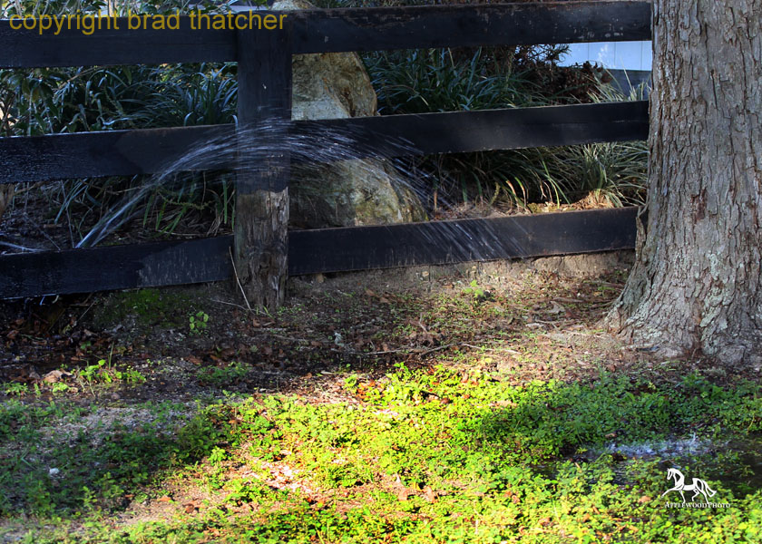 BG4E8693 copy