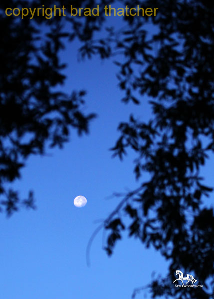 BG4E8814 copy
