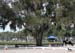 BG4E9372 copy