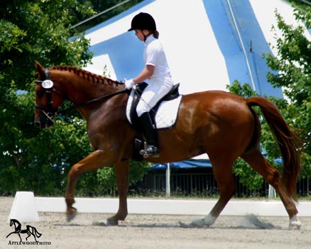 IMG_3292e
