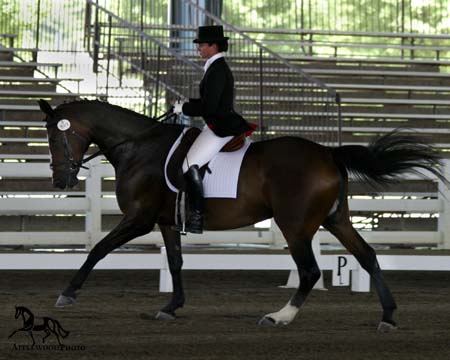 IMG_3216e