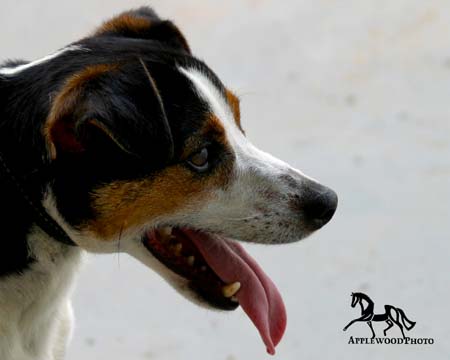 IMG_3253e