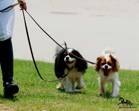 IMG_3341e