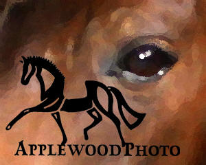 Applewood Photo logo