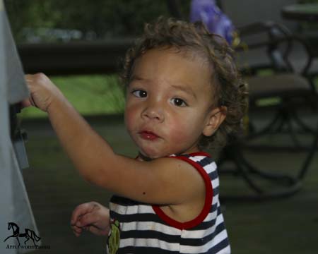 IMG_3938e