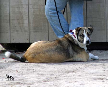 IMG_9801e