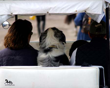IMG_9804e