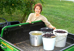 grapes in gator